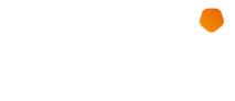 Tmsi logo